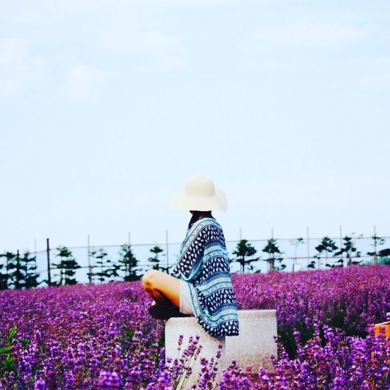 MAI THỊ HÀ MAI THỊ HÀ